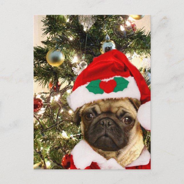 Cartes Pour Fêtes Annuelles chien de Carlin de Noël (Devant)