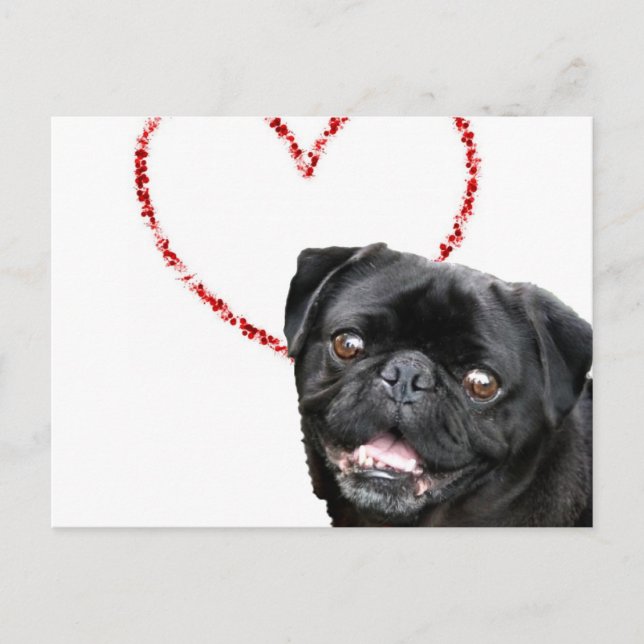 Cartes Pour Fêtes Annuelles Chien de carlin de Valentine (Devant)