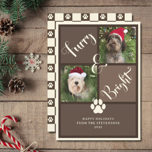 Cartes Pour Fêtes Annuelles Chien De Collage De Photo Brown Feu Et Lumineux