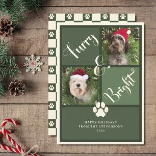 Cartes Pour Fêtes Annuelles Chien de collection photo vert brillant et de la f