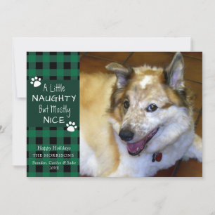 Cartes Pour Fêtes Annuelles Chien de compagnie mignon et vilain plaid vert et