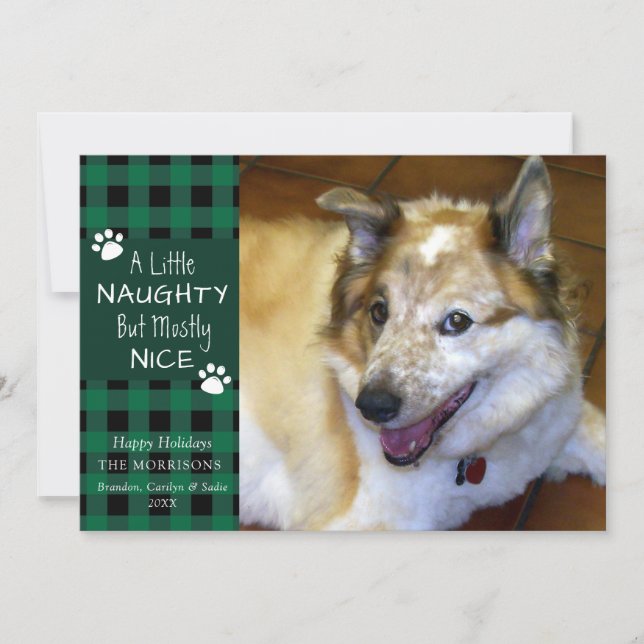 Cartes Pour Fêtes Annuelles Chien de compagnie Naughty et Nice Vert Black Plai (Devant)