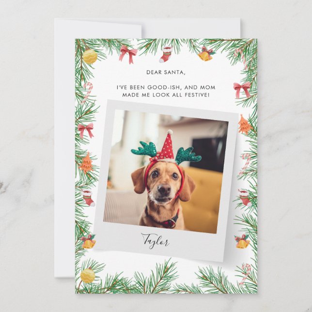 Cartes Pour Fêtes Annuelles Chien de compagnie Photo Naughty ou Nice Custom Ch (Devant)