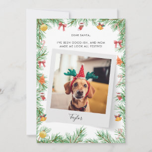 Cartes Pour Fêtes Annuelles Chien de compagnie Photo Naughty ou Nice Custom Ch