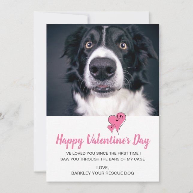 Cartes Pour Fêtes Annuelles Chien de la Saint-Valentin (Devant)
