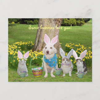 Cartes Pour Fêtes Annuelles Chien de lapin avec Chats de lapin