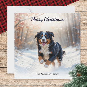 Cartes Pour Fêtes Annuelles Chien de montagne bernois à Noël en aquarelle