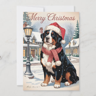 Cartes Pour Fêtes Annuelles chien de montagne bernois Noël personnalisé