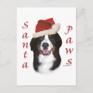 Cartes Pour Fêtes Annuelles Chien de montagne bernois Père Noël Paws