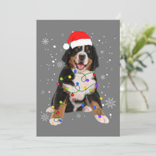Cartes Pour Fêtes Annuelles Chien de Montagne des Bernese Lumières Noël Famill