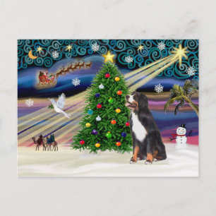 Cartes Pour Fêtes Annuelles Chien de montagne magique de Xmas