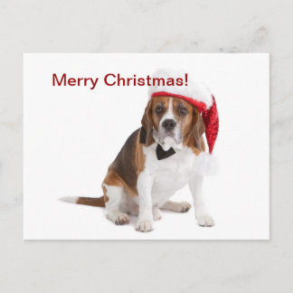 Cartes Pour Fêtes Annuelles Chien de Noël