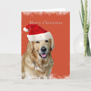 Cartes Pour Fêtes Annuelles Chien de Noël
