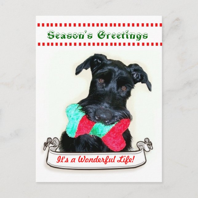 Cartes Pour Fêtes Annuelles Chien de Noël c'est une vie merveilleuse (Devant)