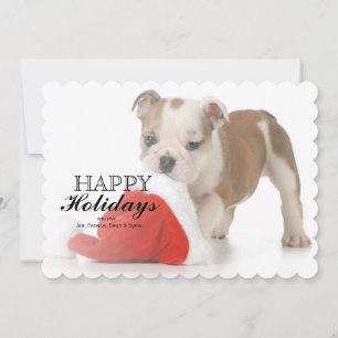 Cartes Pour Fêtes Annuelles Chien de Noël - Chien de Chien de Chien de Chien D