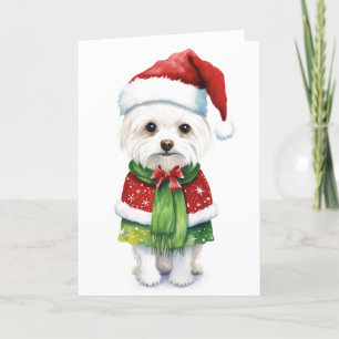 Cartes Pour Fêtes Annuelles Chien de Noël, Chien de Papa Noël Mignon chiot BLA