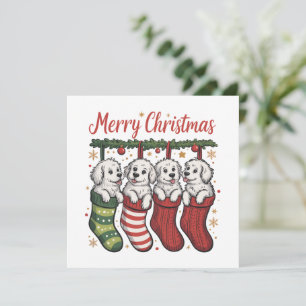 Cartes Pour Fêtes Annuelles Chien de Noël Chiots mignons dans des chaussettes 