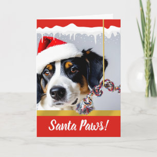 Cartes Pour Fêtes Annuelles Chien de Noël de père Noël Paws dans la neige