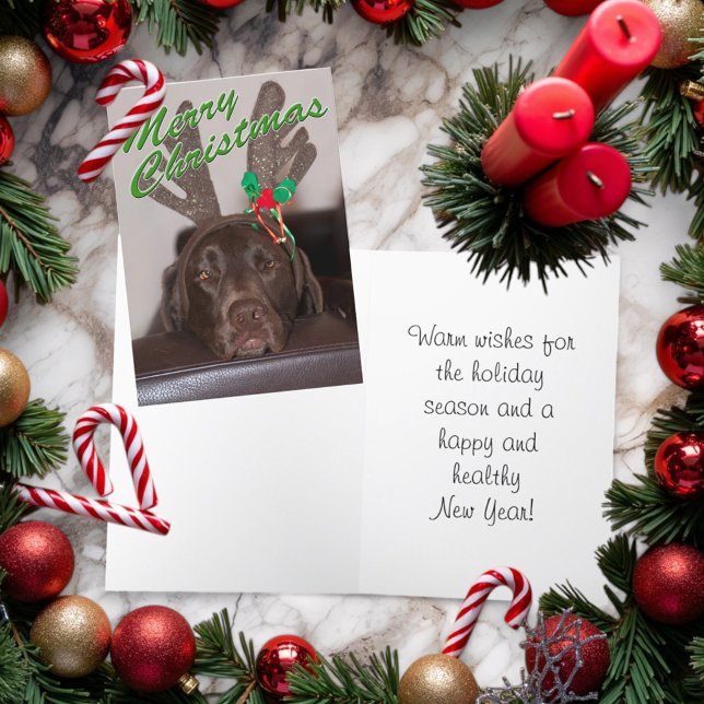 Cartes Pour Fêtes Annuelles Chien de Noël drowsy portant des colliers de Parti (Folding Christmas card cover and inside)