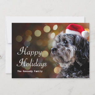 Cartes Pour Fêtes Annuelles Chien De Noël En Attente De Père Noël