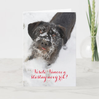 Cartes Pour Fêtes Annuelles Chien de Noël en tchèque personnalisé