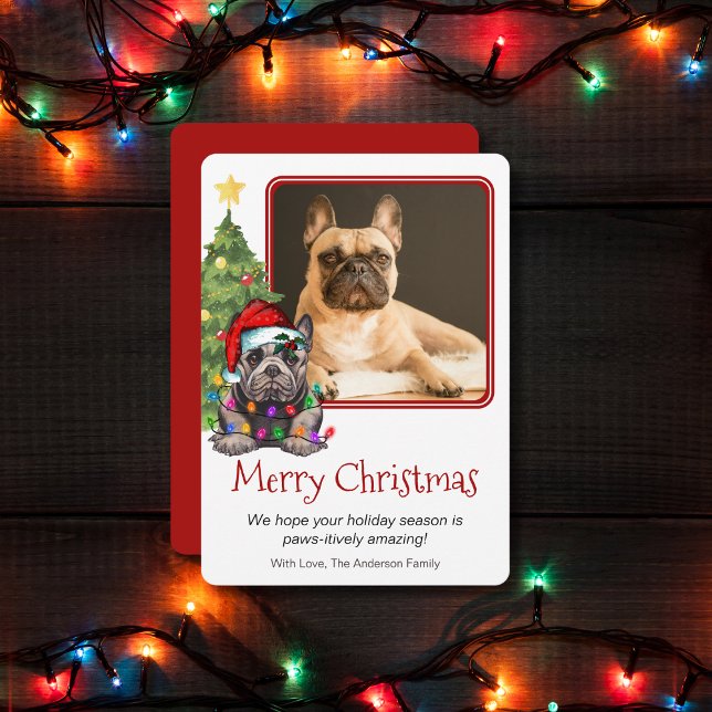 Cartes Pour Fêtes Annuelles Chien de Noël Français Chien de Noël Chien de comp (Créateur téléchargé)