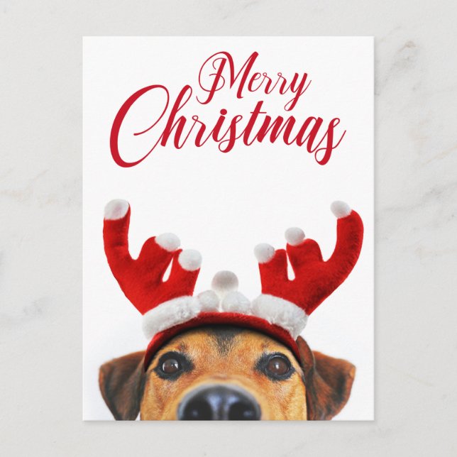 Cartes Pour Fêtes Annuelles Chien de Noël Funny mignon Reindeer Antler Headban (Devant)