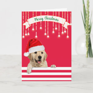 Cartes Pour Fêtes Annuelles Chien de Noël Golden Retriever