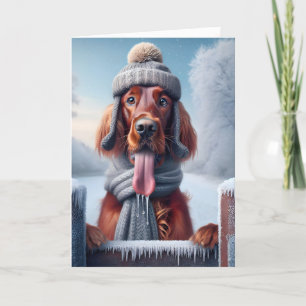 Cartes Pour Fêtes Annuelles Chien de Noël irlandais Setter
