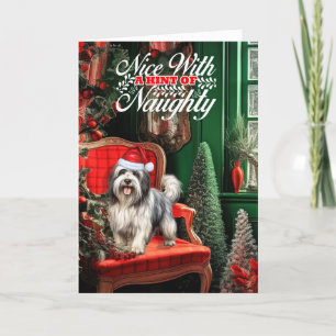 Cartes Pour Fêtes Annuelles Chien de Noël Lowchen Naughty ou Nice