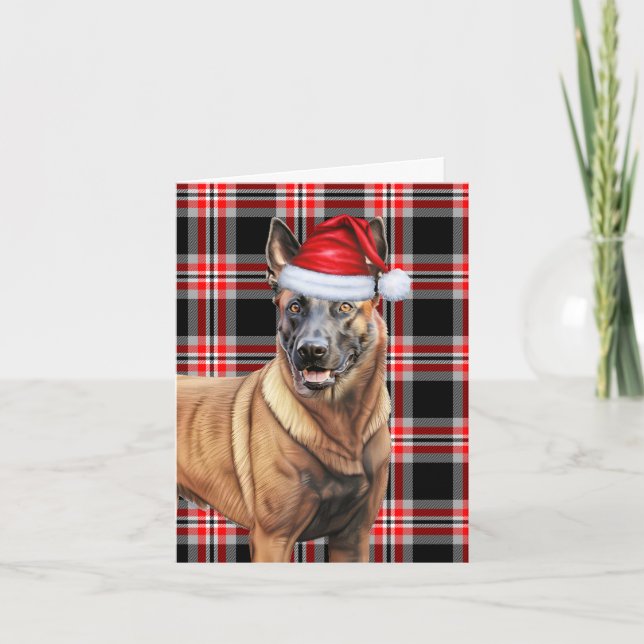 Cartes Pour Fêtes Annuelles Chien de Noël Malinois belge Rouge Parié Noël (Devant)