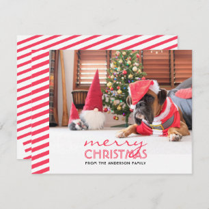 Cartes Pour Fêtes Annuelles Chien de Noël Red Stripes