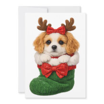 Chien de Noël Tricot Hiver