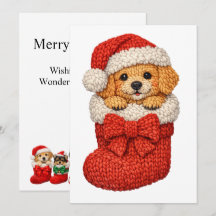 Chien de Noël Tricot Hiver