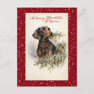 Cartes Pour Fêtes Annuelles Chien de Noël Vintage