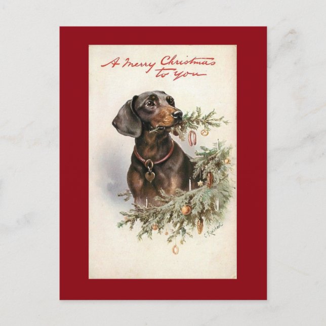 Cartes Pour Fêtes Annuelles Chien de Noël Vintage (Devant)