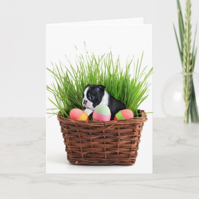 Cartes Pour Fêtes Annuelles Chien de Pâques Boston Terrier (Devant)