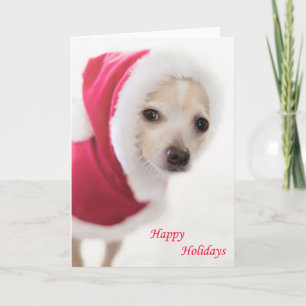 Cartes Pour Fêtes Annuelles Chien de Père Noël