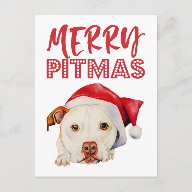 Cartes Pour Fêtes Annuelles Chien de pitbull de Père Noël de Noël | joyeux (Devant)