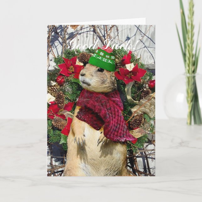 Cartes Pour Fêtes Annuelles Chien de prairie de Noël (Devant)