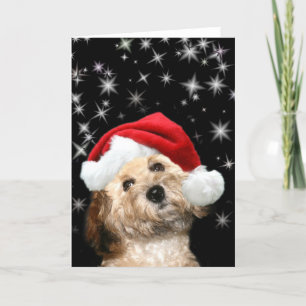Cartes Pour Fêtes Annuelles Chien de Starry Père Noël