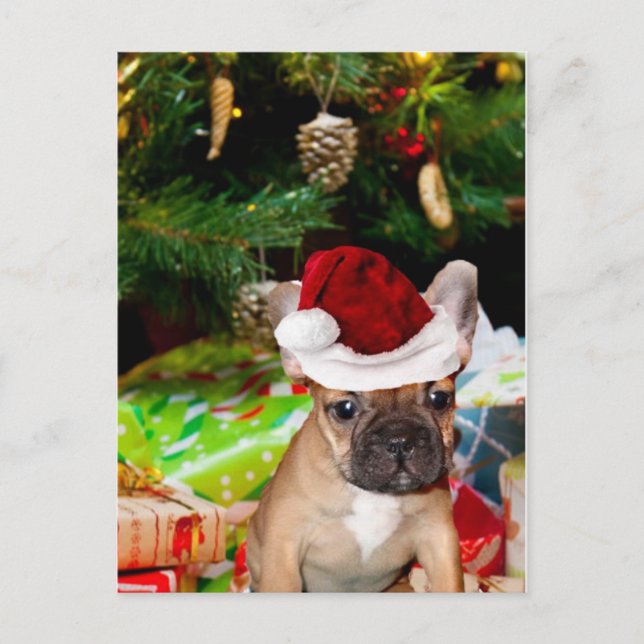 Cartes Pour Fêtes Annuelles Chien de taule français de Noël (Devant)
