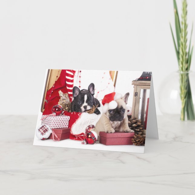 Cartes Pour Fêtes Annuelles Chien de taule français de Noël (Devant)