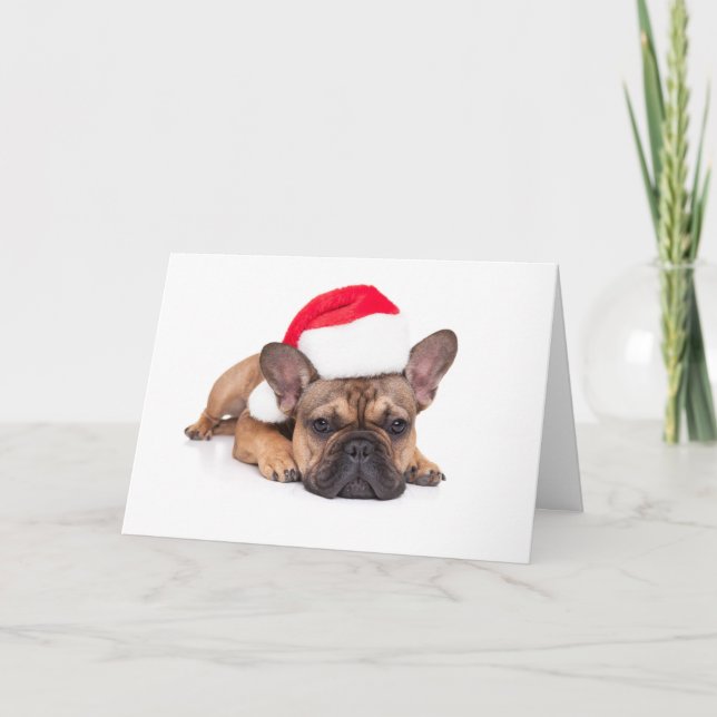 Cartes Pour Fêtes Annuelles Chien de taule français - Noël (Devant)
