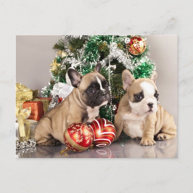 Cartes Pour Fêtes Annuelles Chien de taureau français et cadeaux de Noël (Devant)