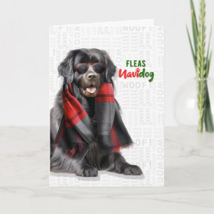 Cartes Pour Fêtes Annuelles Chien de Terre-Neuve Drôle de Puces Navidog Noël