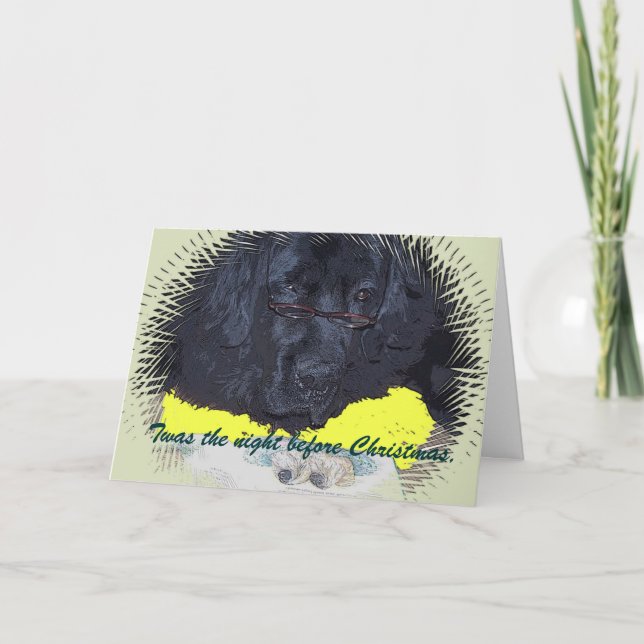 Cartes Pour Fêtes Annuelles Chien de Terre-Neuve la nuit précédant Noël (Devant)