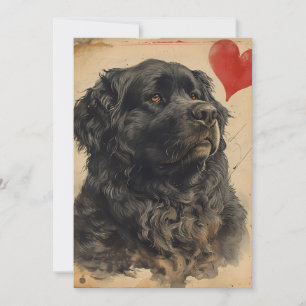 Cartes Pour Fêtes Annuelles Chien de Terre-Neuve Saint-Valentin vintage 