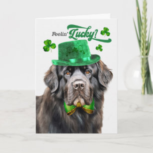 Cartes Pour Fêtes Annuelles Chien de Terre-Neuve se sent chanceux à la Saint-P