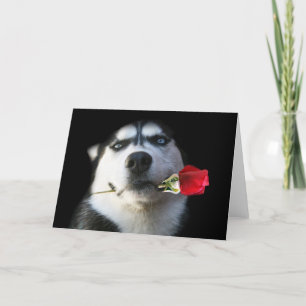 Cartes Pour Fêtes Annuelles Chien de traîneau et Valentine rose/chien de tango